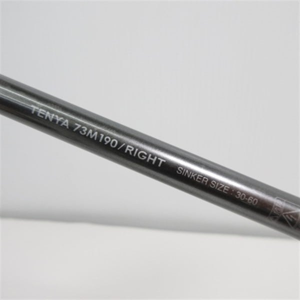 サーベルマスターエクスチューンテンヤ７３Ｍ １９０／ライト